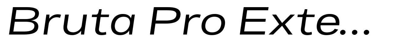 Bruta Pro Extended Regular Italic